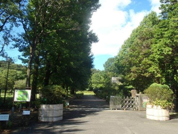 🌸 노베오카 식물원 (노베오카 쇼쿠부츠엔) 이미지 2